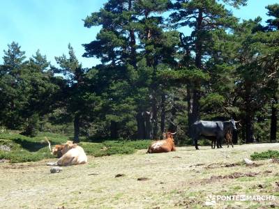 Siete Picos_La Sierra del Dragón; viajes baratos agosto viajes organizados para jovenes